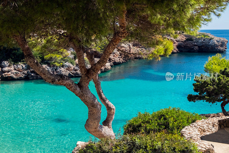 欧洲西班牙巴利阿里群岛马略卡岛东南海岸Cala d'Or的Cala Esmerelda绿宝石水域